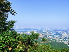 -紫金山山顶公园