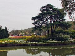 -无锡梅园公园