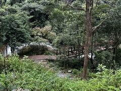 -广州市石门国家森林公园