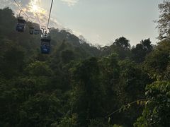-野象谷景区