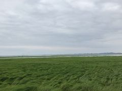 -鄱阳湖国家湿地公园