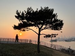 -小麦岛公园
