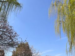 -九里河湿地公园