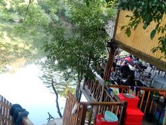 -张鸟园农家乐(张鸟园店)