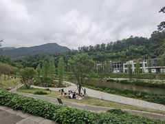 -梧桐山风景名胜区