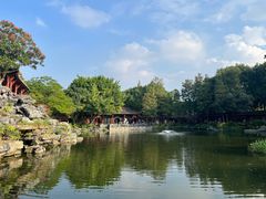 -顺峰山公园