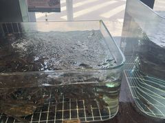 -湘轩·土菜研究院(光大店)
