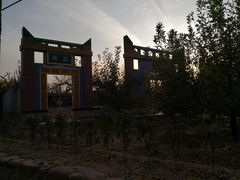 -东方巨龟苑景区