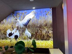 -杨记齐齐哈尔烤肉(总店)