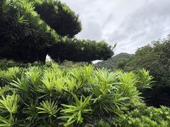 -桃花岭景区