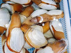 -港畔赶海蒸汽海鲜烧烤自助(仙螺岛店)
