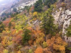 -大芦花风景区