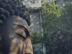 -杭州植物园