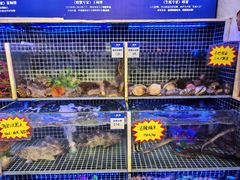 -开海·红岛海鲜虾水饺(石老人店)