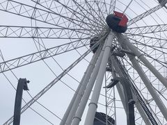-布里斯班南岸公园