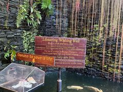 -卷心菜和避孕套餐厅(Pattaya)