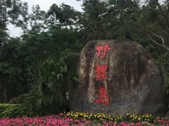 -野狸岛