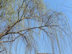 -木兰水镇旅游景区