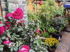 -园林美食城·本土农家菜(杨和镇店)