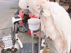-四海楼(如皋定慧禅寺店)