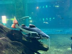 -华夏文旅海洋公园