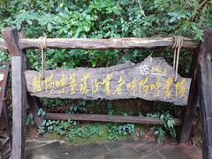 -西双版纳基诺山寨