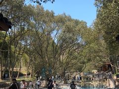 -东明山森林公园
