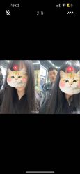 -無名发艺