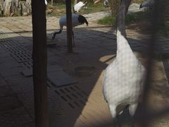 -石家庄市动物园