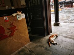 -秦云老太婆摊摊面(磁器口店)