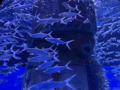 -波塞冬海底世界