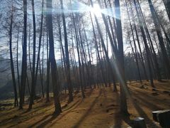 -硗碛藏寨·神木垒景区