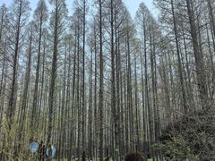 -上海怡沁园度假酒店