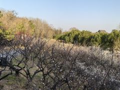 -蜀冈西峰生态公园