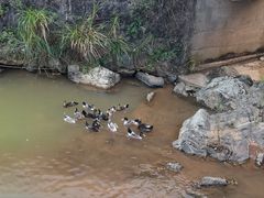 -千泷沟大瀑布旅游区