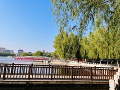 -莲花池公园
