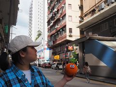 -海港城