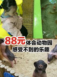 -七巧国萌宠乐园(龙湖天街店)
