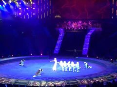 -珠海横琴长隆《卡卡虎奇遇记》