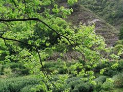 -雁荡山风景名胜区