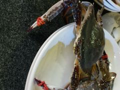 android_upload_pic-桔子酒店(上海西藏北路地铁站店)