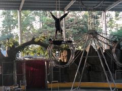 -泉州海丝野生动物世界