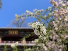 -潭柘寺景区