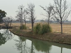 -嘉北郊野公园