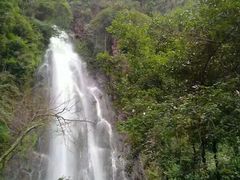 -姑婆山旅游区