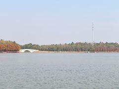 -上海海湾国家森林公园