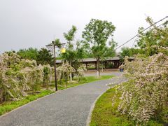 -张家湾公园