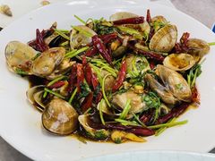 -小海丁