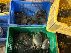 -尼甘布海鲜市场