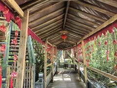 -天门沟九州驿站树上汤泉